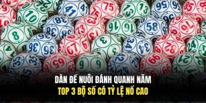 Dàn Đề Nuôi Đánh Quanh Năm | Top 3 Bộ Số Có Tỷ Lệ Nổ Cao