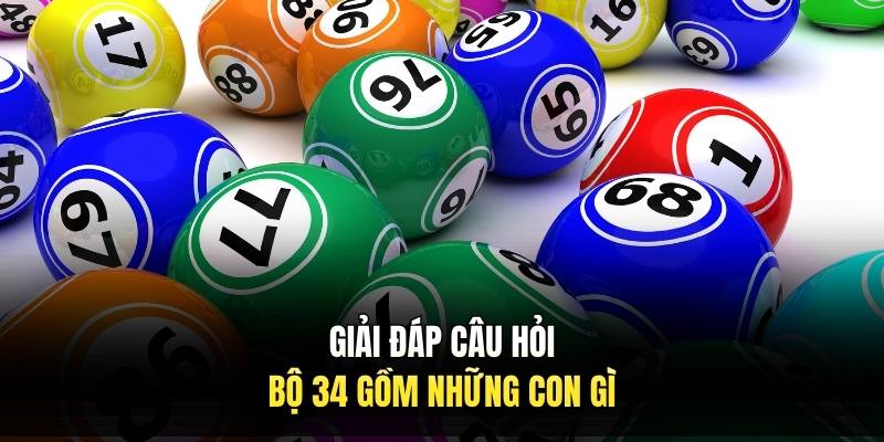 Giải đáp câu hỏi bộ 34 gồm những con gì