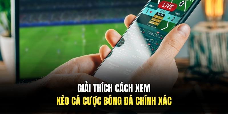 Giải thích cách xem kèo cá cược bóng đá chính xác