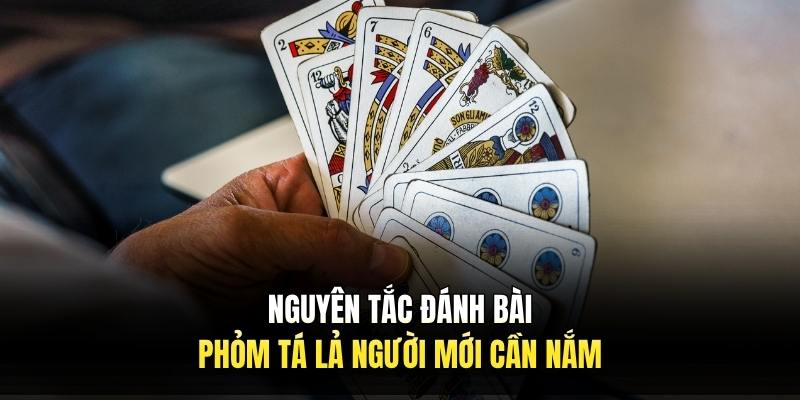 Nguyên tắc đánh bài phỏm tá lả người mới cần nắm