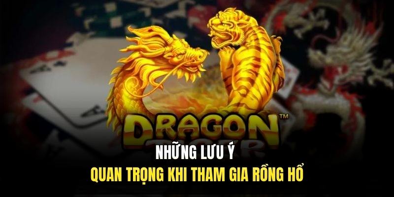 Những lưu ý quan trọng khi tham gia rồng hổ