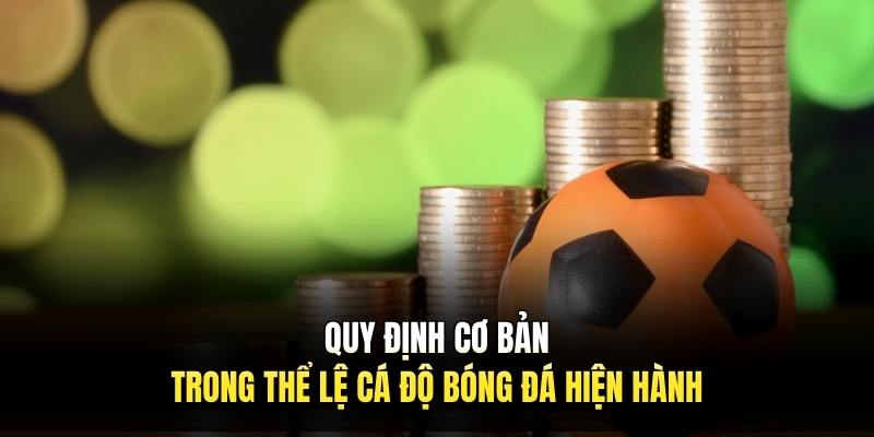 Quy định cơ bản trong thể lệ cá độ bóng đá hiện hành